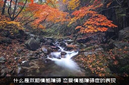 什么是双相情感障碍（恋爱情感障碍症的表现）