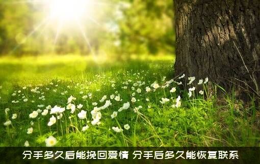 分手多久后能挽回爱情？分手后多久能恢复联系？