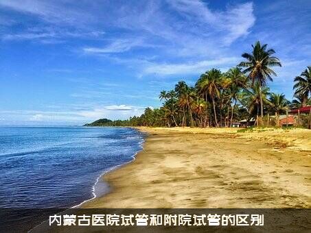 内蒙古医院试管和附院试管的区别