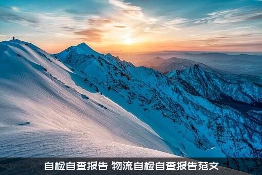 自检自查报告（物流自检自查报告范文）