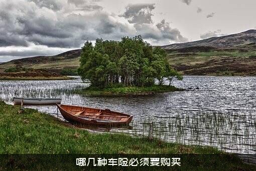 哪几种车险必须要购买
