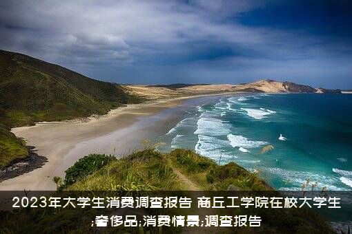 2023年大学生消费调查报告（商丘工学院在校大学生;奢侈品;消费情景;调查报告）