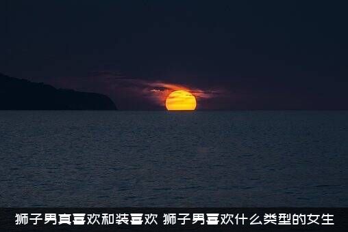 狮子男真喜欢和装喜欢（狮子男喜欢什么类型的女生）