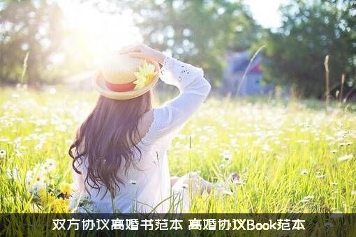 双方协议离婚书范本（离婚协议Book范本）