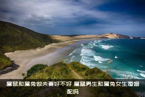 属鼠和属兔做夫妻好不好？属鼠男生和属兔女生婚姻配吗？
