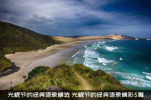 光棍节的经典语录精选（光棍节的经典语录精彩5篇）