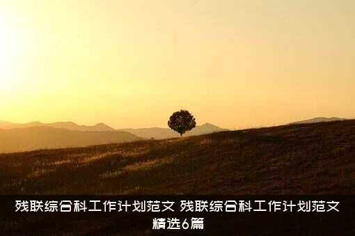 残联综合科工作计划范文（残联综合科工作计划范文精选6篇）