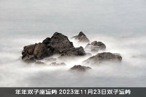 年年双子座运势（2023年11月23日双子运势）