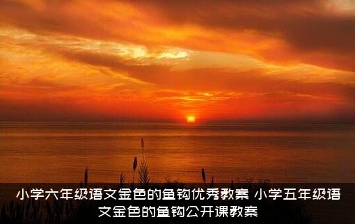 小学六年级语文金色的鱼钩优秀教案（小学五年级语文金色的鱼钩公开课教案）