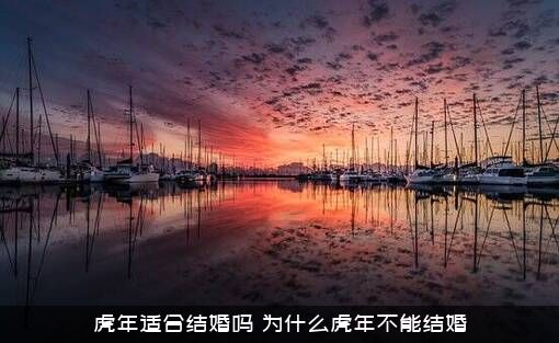 虎年适合结婚吗（为什么虎年不能结婚）