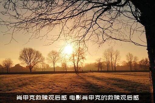 肖申克救赎观后感（电影肖申克的救赎观后感）