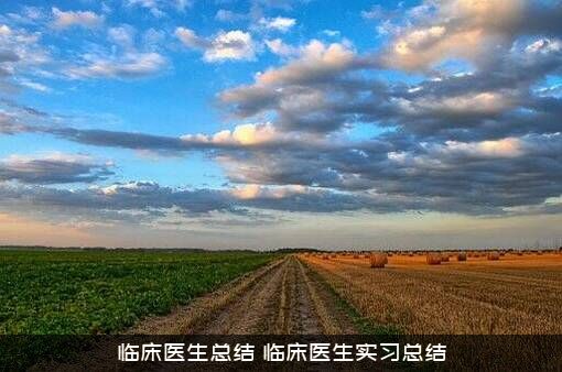 临床医生总结（临床医生实习总结）