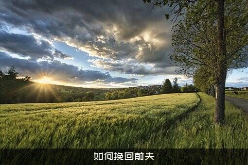 如何挽回前夫