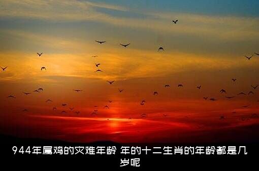 944年属鸡的灾难年龄（年的十二生肖的年龄都是几岁呢）