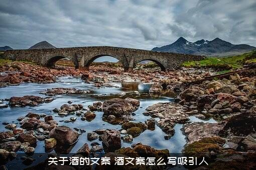 关于酒的文案（酒文案怎么写吸引人）