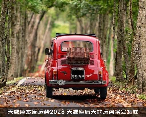 天蝎座本周运势2023（天蝎座后天的运势将会怎样）
