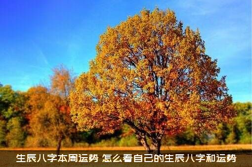 生辰八字本周运势（怎么看自己的生辰八字和运势）