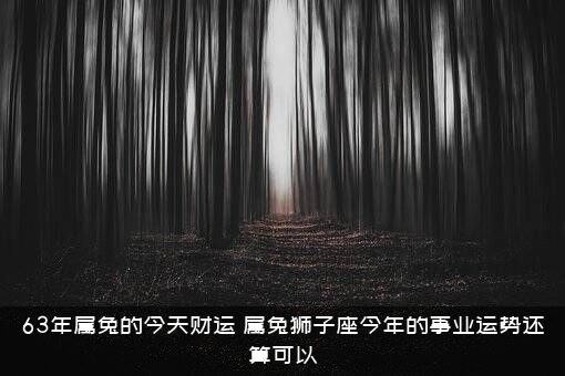 63年属兔的今天财运（属兔狮子座今年的事业运势还算可以）