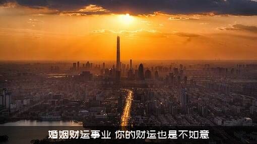 婚姻财运事业（你的财运也是不如意）