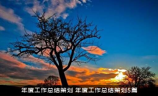 年度工作总结策划（年度工作总结策划5篇）