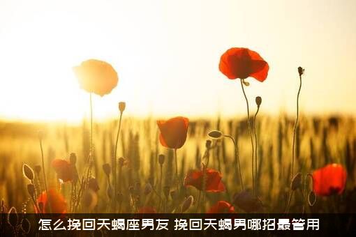 怎么挽回天蝎座男友（挽回天蝎男哪招最管用）