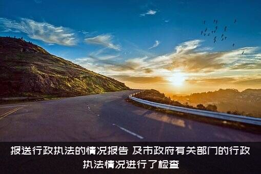 报送行政执法的情况报告（及市政府有关部门的行政执法情况进行了检查）