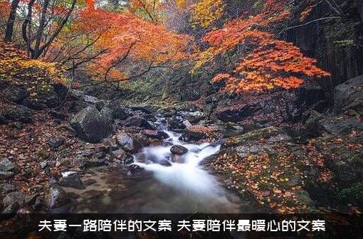 夫妻一路陪伴的文案（夫妻陪伴最暖心的文案）