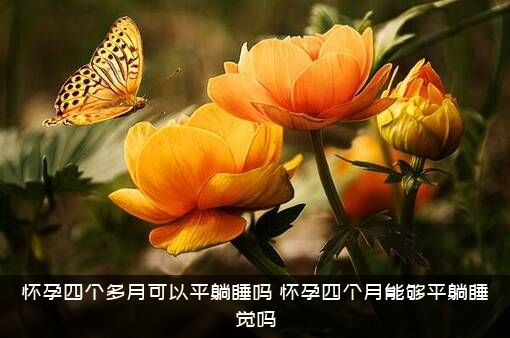 怀孕四个多月可以平躺睡吗？怀孕四个月能够平躺睡觉吗？
