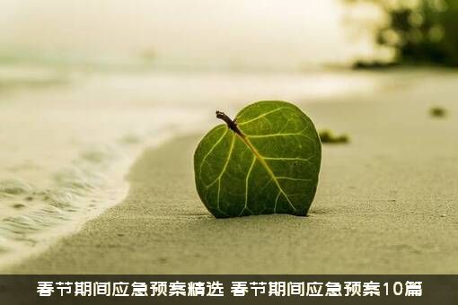 春节期间应急预案精选（春节期间应急预案10篇）