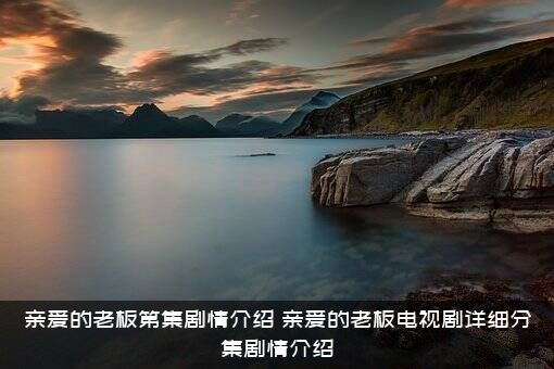 亲爱的老板第集剧情介绍（亲爱的老板电视剧详细分集剧情介绍）