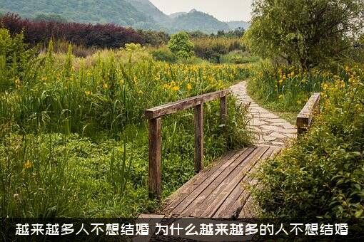 越来越多人不想结婚（为什么越来越多的人不想结婚）