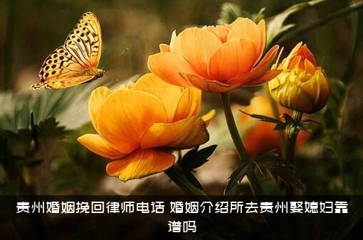 贵州婚姻挽回律师电话（婚姻介绍所去贵州娶媳妇靠谱吗）
