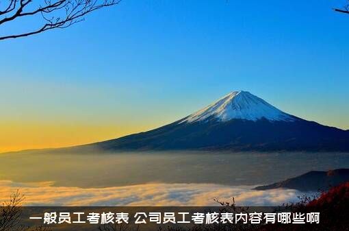 一般员工考核表（公司员工考核表内容有哪些啊）
