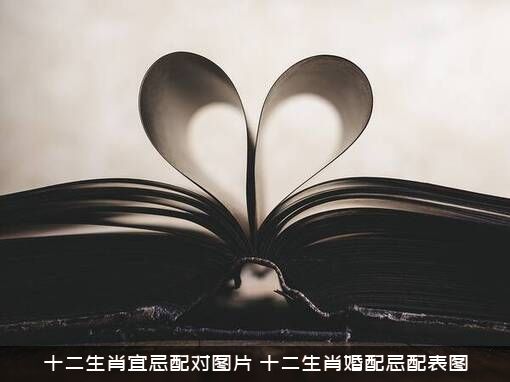 十二生肖宜忌配对图片（十二生肖婚配忌配表图）