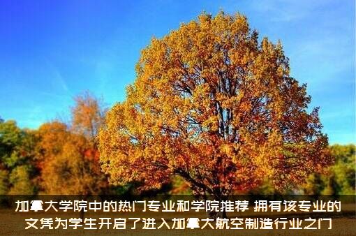 加拿大学院中的热门专业和学院推荐，拥有该专业的文凭为学生开启了进入加拿大航空制造行业之门