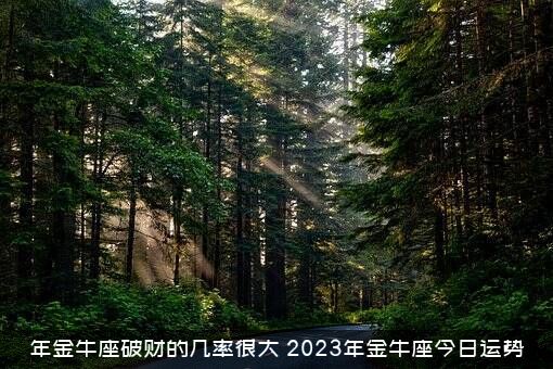 年金牛座破财的几率很大（2023年金牛座今日运势）