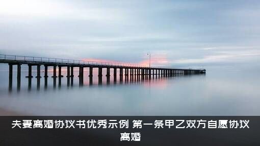 夫妻离婚协议书优秀示例（第一条甲乙双方自愿协议离婚）