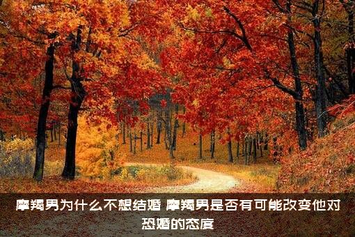 摩羯男为什么不想结婚？摩羯男是否有可能改变他对恐婚的态度？