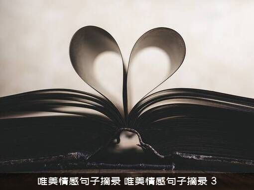 唯美情感句子摘录，唯美情感句子摘录，3