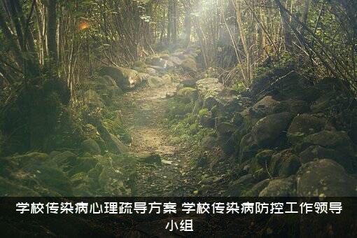 学校传染病心理疏导方案（学校传染病防控工作领导小组）