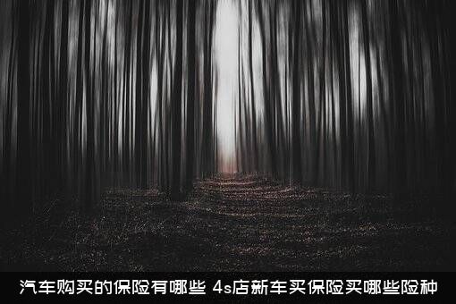 汽车购买的保险有哪些（4s店新车买保险买哪些险种）