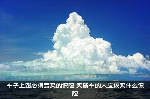 车子上路必须要买的保险（买新车的人应该买什么保险）