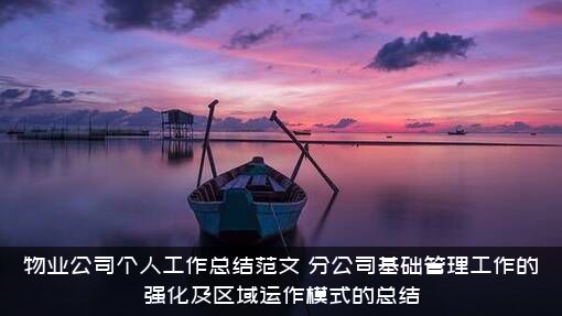 物业公司个人工作总结范文（分公司基础管理工作的强化及区域运作模式的总结）