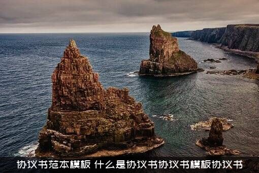 协议书范本模板（什么是协议书协议书模板协议书）