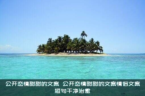 公开恋情甜甜的文案（​公开恋情甜甜的文案情侣文案短句干净治愈）