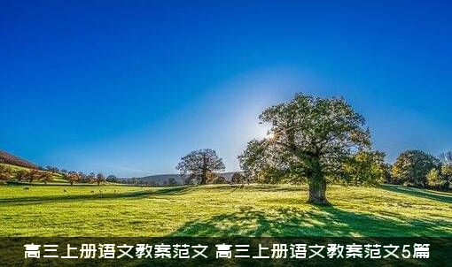 高三上册语文教案范文（高三上册语文教案范文5篇）
