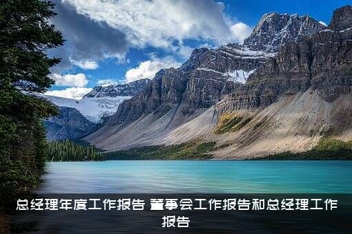 总经理年度工作报告（董事会工作报告和总经理工作报告）