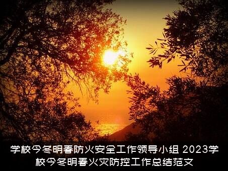学校今冬明春防火安全工作领导小组（2023学校今冬明春火灾防控工作总结范文）