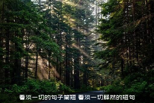 看淡一切的句子简短（看淡一切释然的短句）