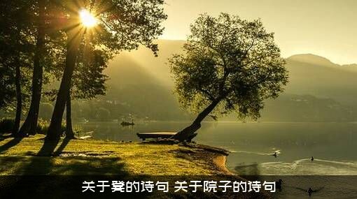 关于凳的诗句（关于院子的诗句）